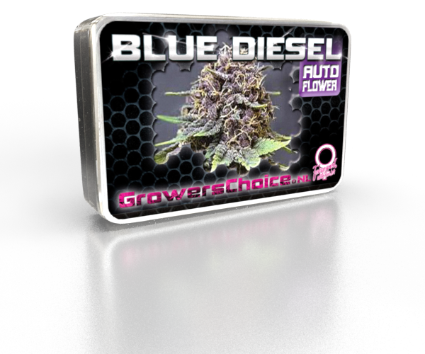 Blue Diesel Autoflower