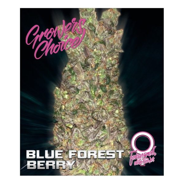 Blue Forest Berry AutoFlower
