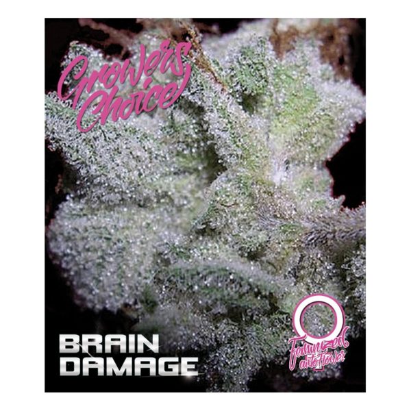 Brain Damage Autoflower