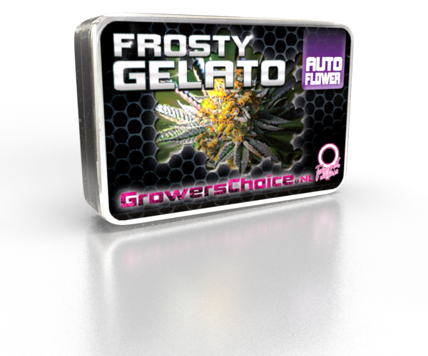 Frosty Gelato Autoflower