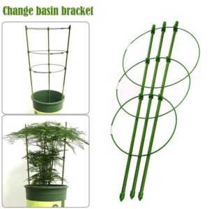 Plant Supports
