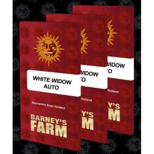 BARNEY’S FARM – WHITE WIDOW AUTO