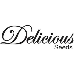 DELICIOUS SEEDS – MARMALATE INDICA LINE