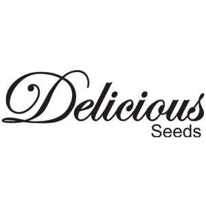 DELICIOUS SEEDS – SUGAR CANDY SATIVA LINE