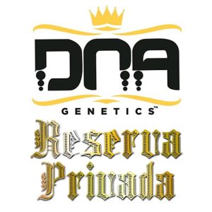 DNA GENETICS – R.K.S