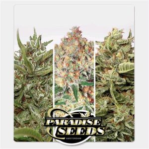 PARADISE SEEDS – AUTO COLLECTION PACK #1