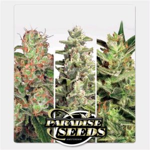 PARADISE SEEDS – AUTO COLLECTION PACK #2