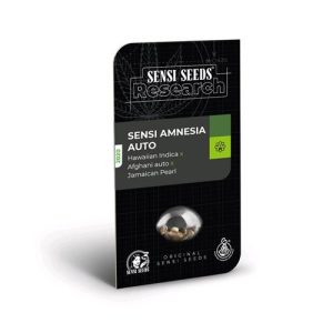 SENSI SEEDS – SENSI AMNESIA AUTO RESEARCH