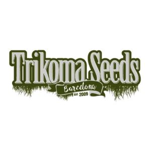 TRIKOMA SEEDS – PATAGONIA