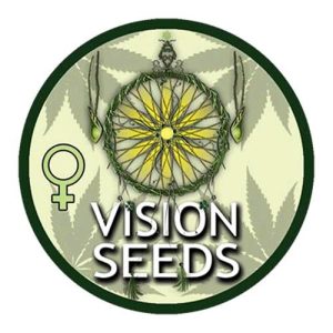 VISION SEEDS – BLUEBERRY BLISS AUTO