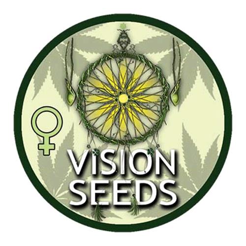 VISION SEEDS – BUBBLE YUM