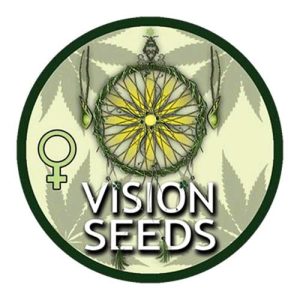 VISION SEEDS – LOWRYDER AUTO