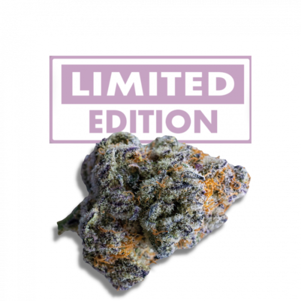 Platinum Mimosa Cookies Double XL Autoflower – Limited Edition