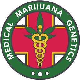 Medical Marijuana Genetics